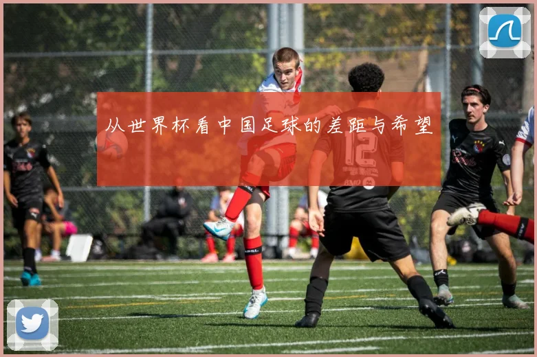 从世界杯看中国足球的差距与希望